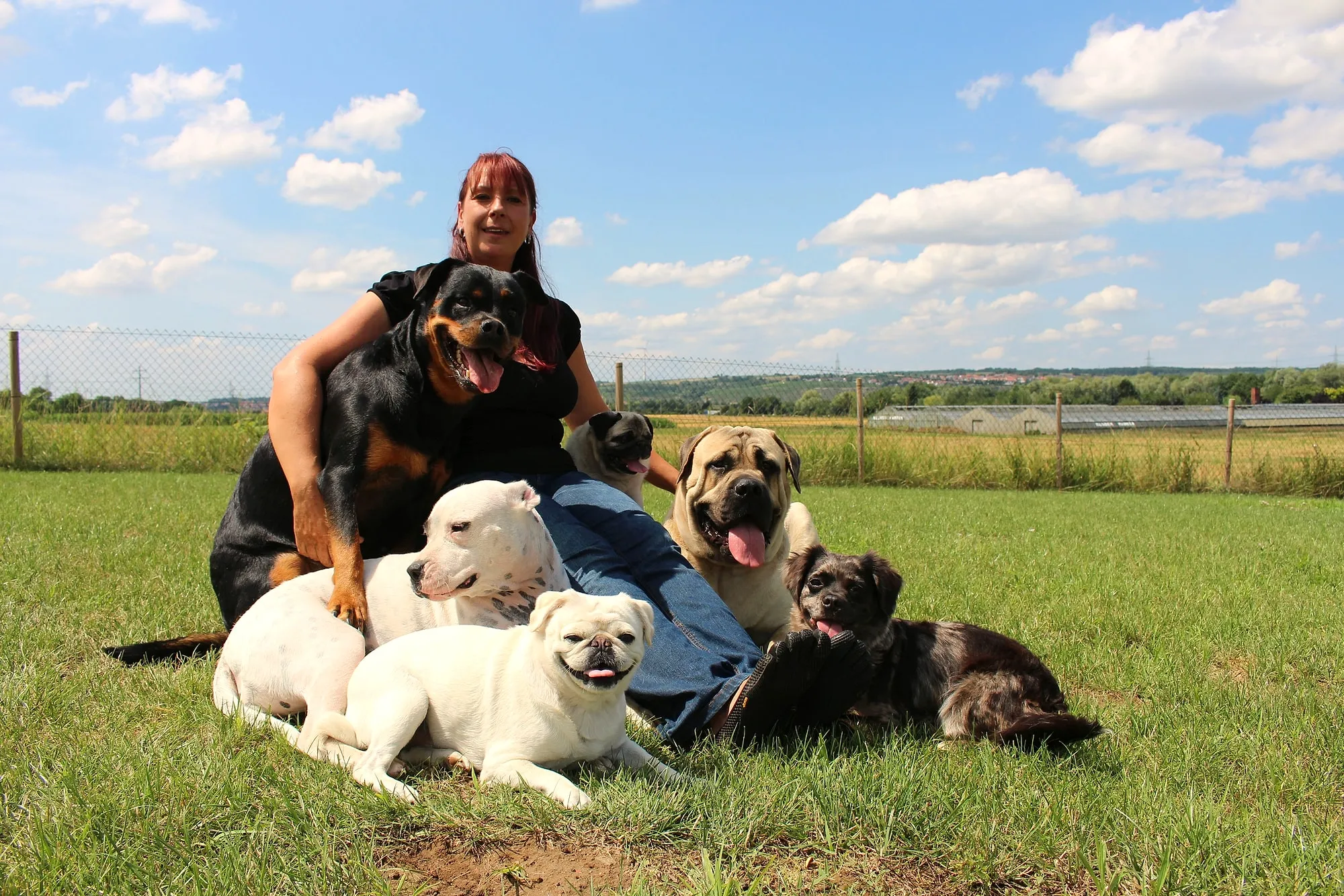Angie mit ihren sechs Hunden auf dem 4.000 m² großen Trainingsgelände am Sonnenhof in Pleidelsheim